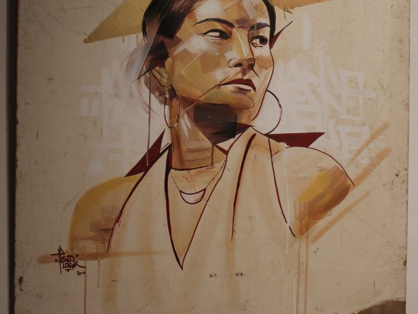 <span>Mapuche</span><i>→</i>