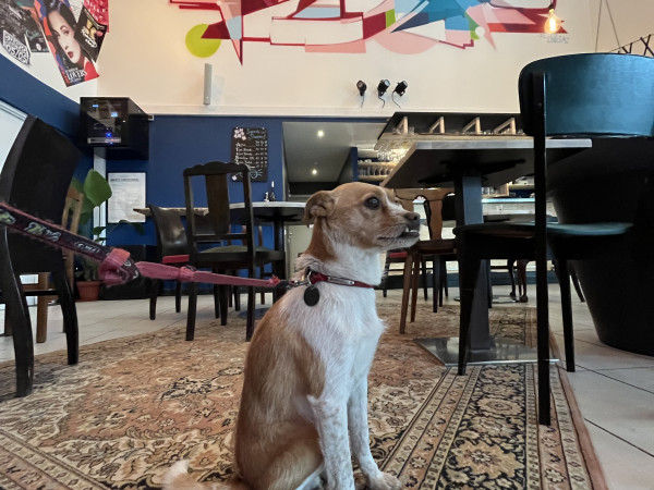 <span>Blue Note Café</span><i>→</i>