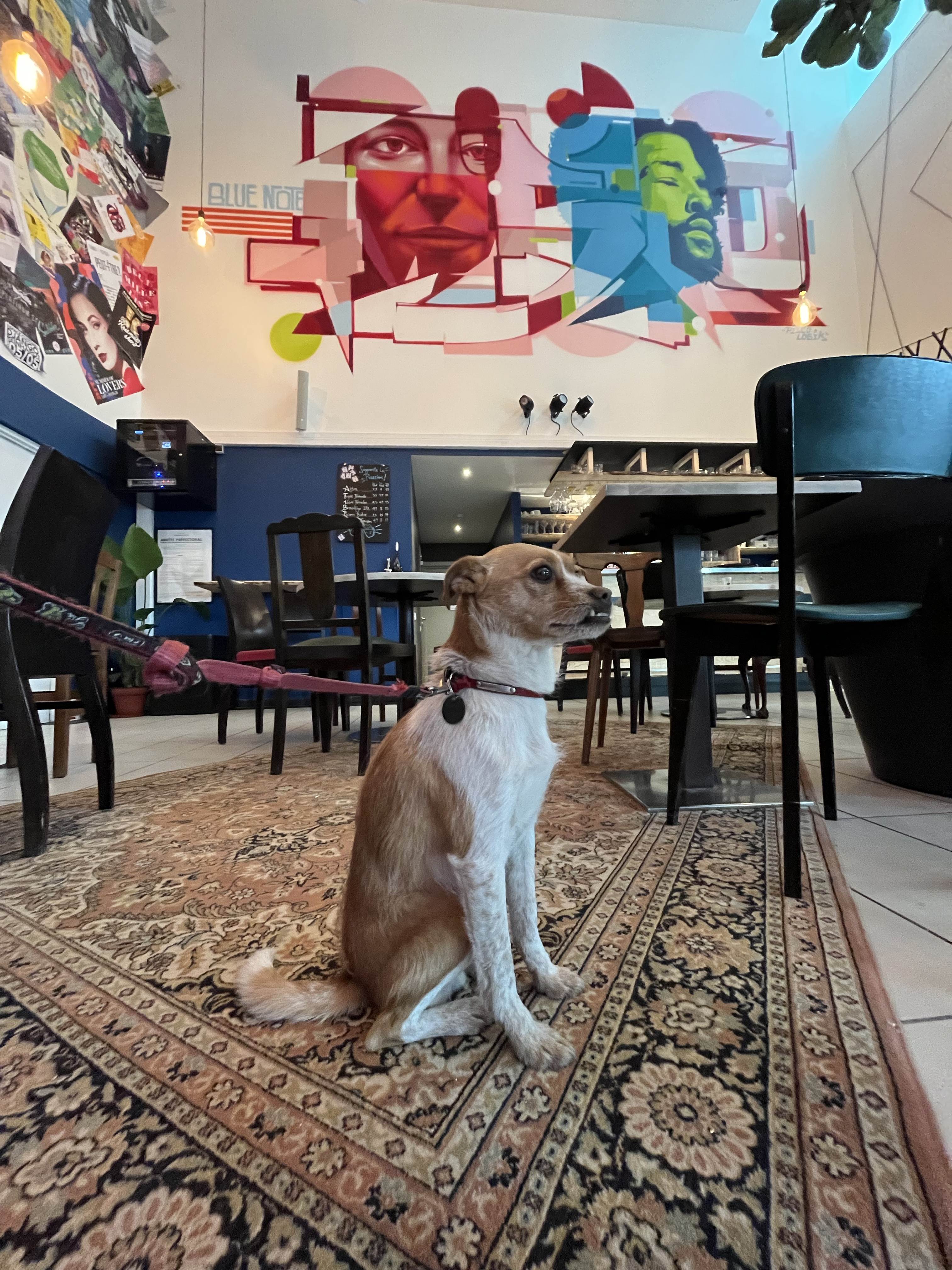 blue note cafe graffiti strasbourg street art streetart decoration fresque strasbourg alsace bas rhin rivétoile