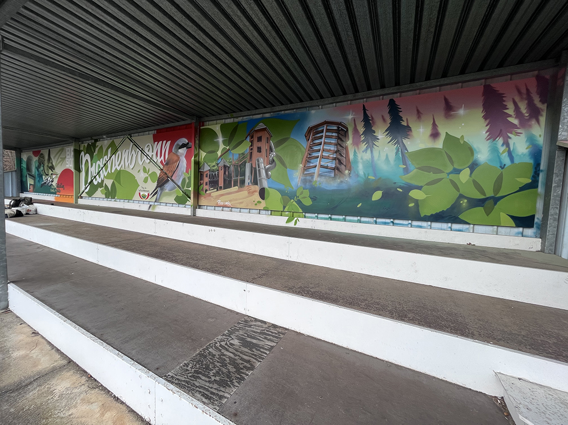 BA128, DRACHENBRONN,PISCO LOGIK, GRAFFITI, CHEMIN,DES,CIMES,FRESQUE, Street art