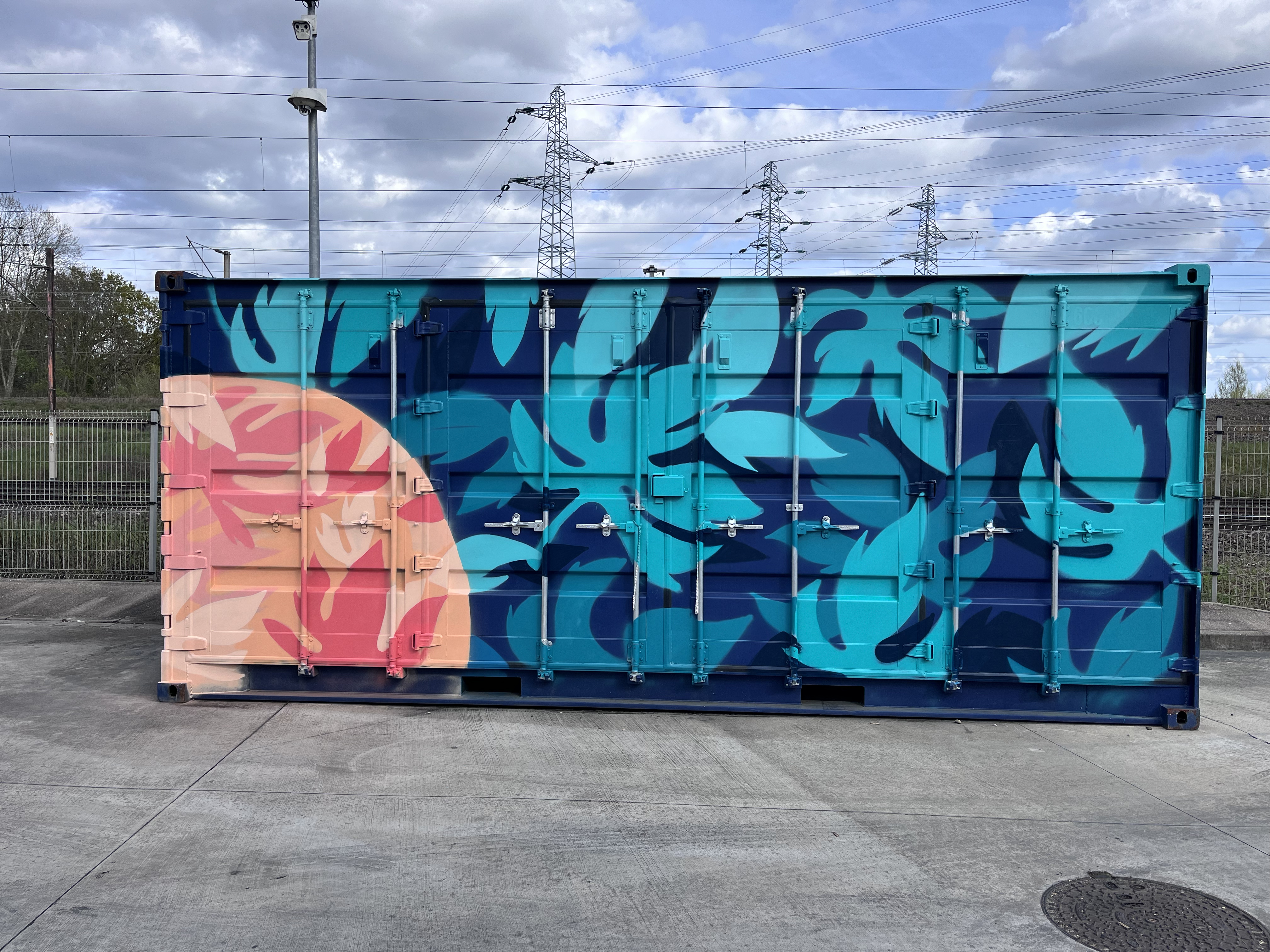 graffiti strasbourg contener rgds rpas fresque street art pisco decoration peinture 1