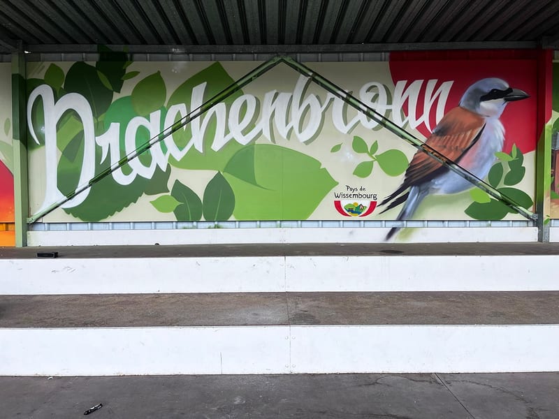 Décor « BA128 x DRACHENBRONN x PISCOLOGIK » par Piscologik, vue 4 sur 7