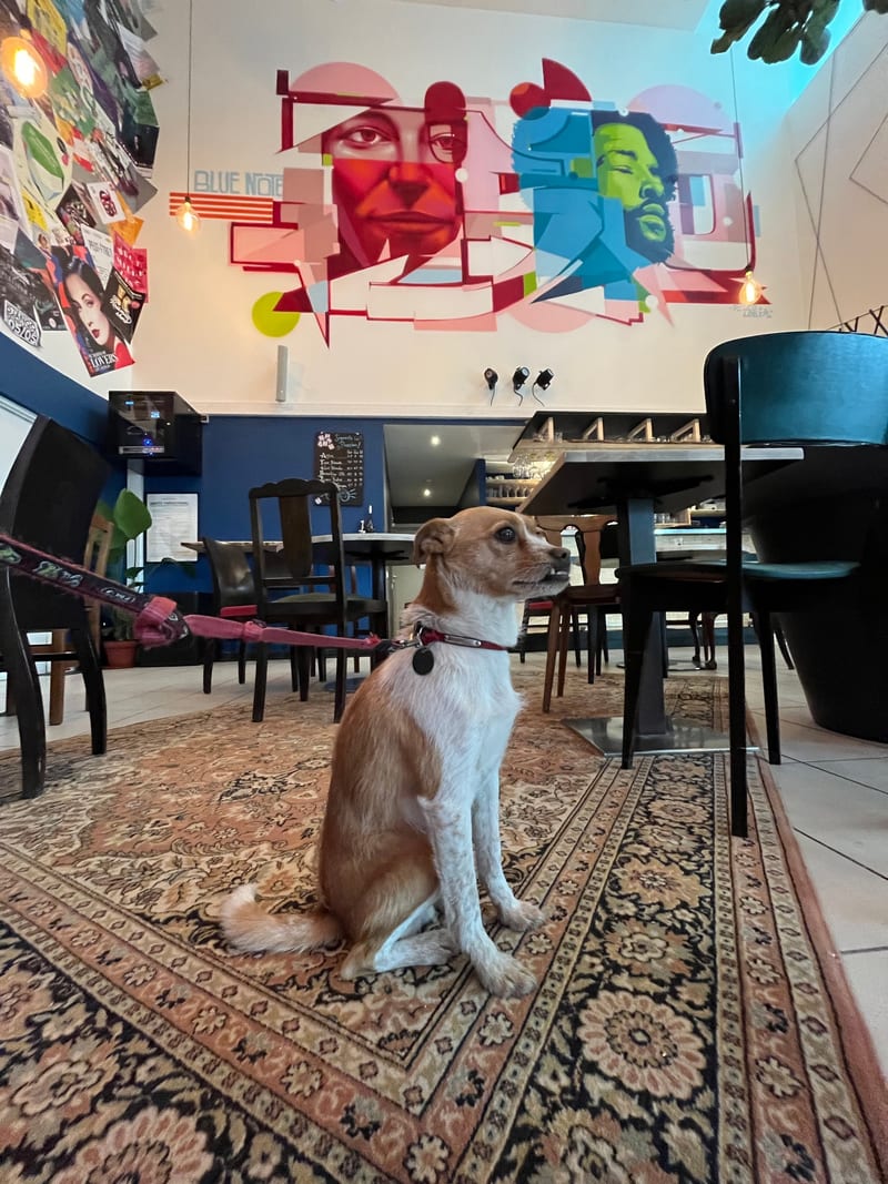 Décor « Blue Note Café » par Piscologik, vue 2 sur 2