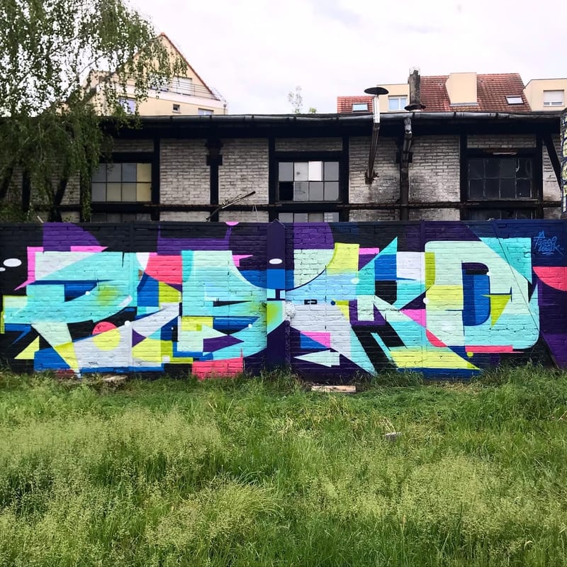 Fresque murale « Strasbourg graffiti » par Piscologik, vue 1 sur 2