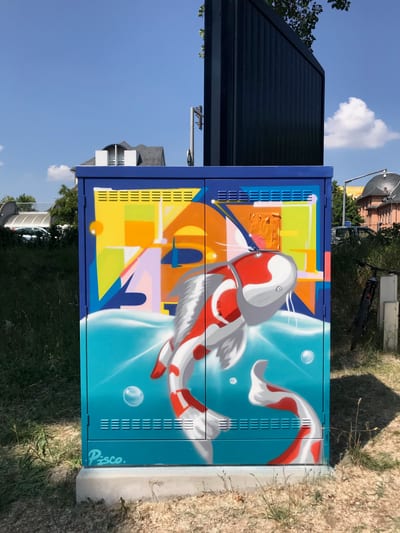 Décor « R-GDS carpe » par Piscologik, vue 1 sur 3