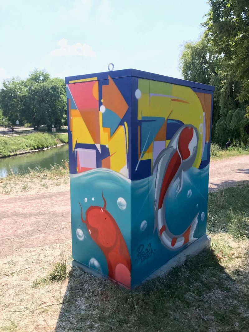 Décor « R-GDS carpe » par Piscologik, vue 3 sur 3