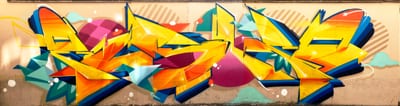 Fresque murale « STRASBOURG GRAFFITI 2019 » par Piscologik