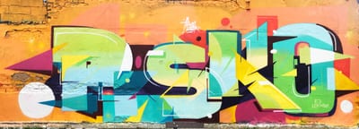 Fresque murale « Strasbourg Graffiti » par Piscologik