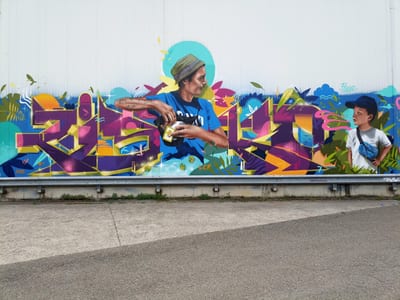 Fresque murale « Fresque murale Wissembourg » par Piscologik, vue 1 sur 3