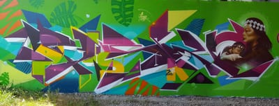 Fresque murale « Graffiti Street art Strasbourg Piscologik » par Piscologik