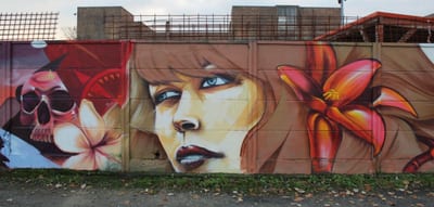 Fresque murale « Junkers part 2 · Graffiti Strasbourg » par Piscologik, vue 1 sur 4