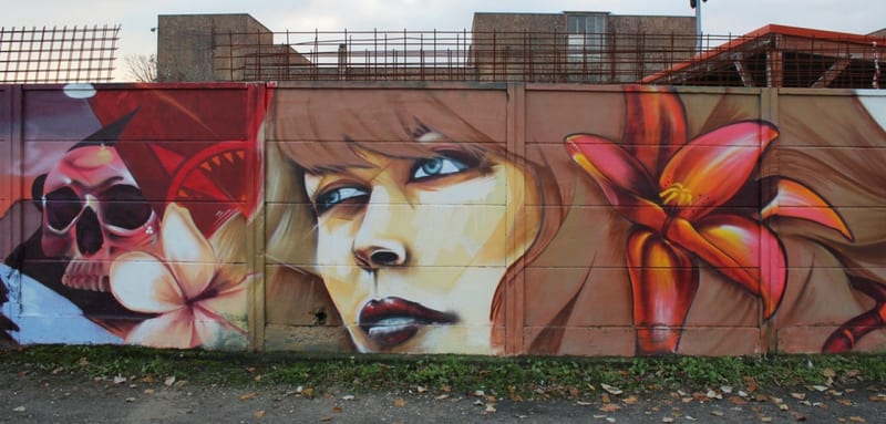Fresque murale « Junkers part 2 · Graffiti Strasbourg » par Piscologik, vue 1 sur 4