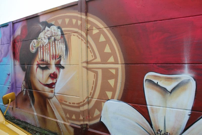 Fresque murale « Junkers part 2 · Graffiti Strasbourg » par Piscologik, vue 4 sur 4