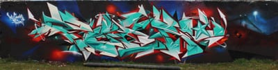 Fresque murale « style sauvage » par Piscologik